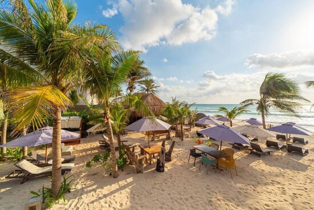Luxury Studio In Playa Del Carmen Exteriör bild